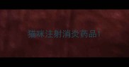 猫咪注射消炎药品