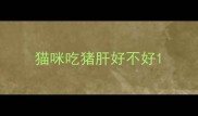 猫咪吃猪肝好不好