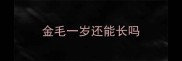 金毛一岁还能长吗
