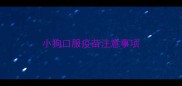 小狗口服疫苗注意事项