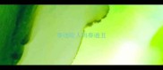 泰迪咬人吗泰迪丑