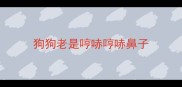 狗狗老是哼哧哼哧鼻子