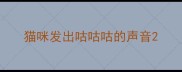 猫咪发出咕咕咕的声音