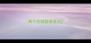 两个月银狐有多大