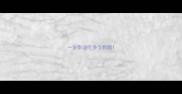 一岁泰迪吃多少狗粮