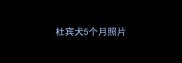 杜宾犬5个月照片