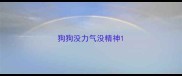 狗狗没力气没精神