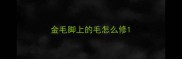 金毛脚上的毛怎么修