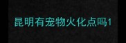 昆明有宠物火化点吗