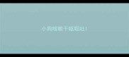 小狗咳嗽干呕呕吐