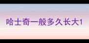 哈士奇一般多久长大