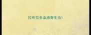 拉布拉多血液寄生虫