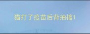猫打了疫苗后背抽搐