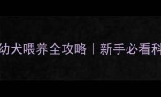 两个月萨摩幼犬喂养全攻略新手必看科学养宠指南