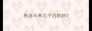 养法斗养几个月的好