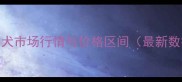 金毛犬市场行情与价格区间最新数据