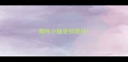 猫咪小脑受损症状