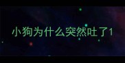 小狗为什么突然吐了