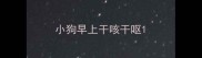 小狗早上干咳干呕