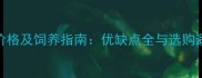 卷耳猫价格及饲养指南优缺点全与选购避坑攻略