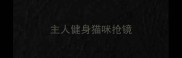 主人健身猫咪抢镜