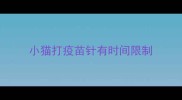 小猫打疫苗针有时间限制