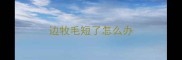边牧毛短了怎么办