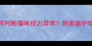 5步科学检测法如何判断猫咪视力异常附家庭护理与专业检查全指南