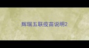 辉瑞五联疫苗说明