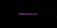 狗狗吃头发怎么办