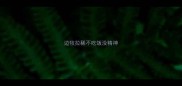 边牧拉稀不吃饭没精神