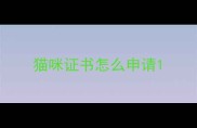 猫咪证书怎么申请