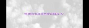 宠物除虫和疫苗要间隔多久