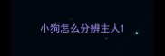 小狗怎么分辨主人