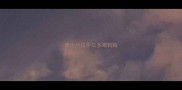 俩个月拉不拉多喂狗粮