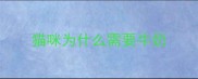 猫咪为什么需要牛奶