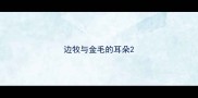边牧与金毛的耳朵