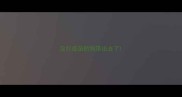 没打疫苗的狗带出去了