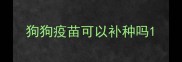 狗狗疫苗可以补种吗