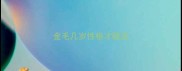 金毛几岁性格才稳定