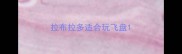 拉布拉多适合玩飞盘