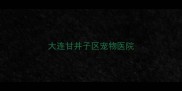 大连甘井子区宠物医院