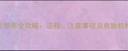 泰迪犬领养全攻略流程注意事项及救助机构推荐