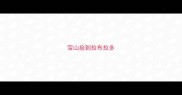 宝山捡到拉布拉多