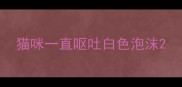 猫咪一直呕吐白色泡沫