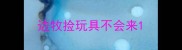边牧捡玩具不会来