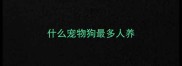 什么宠物狗最多人养
