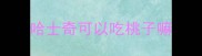 哈士奇可以吃桃子嘛
