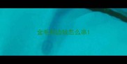 金毛和边牧怎么串