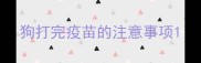 狗打完疫苗的注意事项